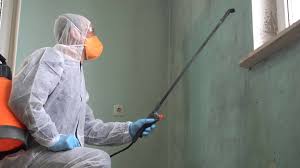 Why You Should Choose Our Mold Remediation Services in Norris City, IL